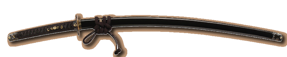 InteraTachi